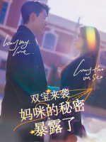 双宝来袭：妈咪的秘密暴露了封面