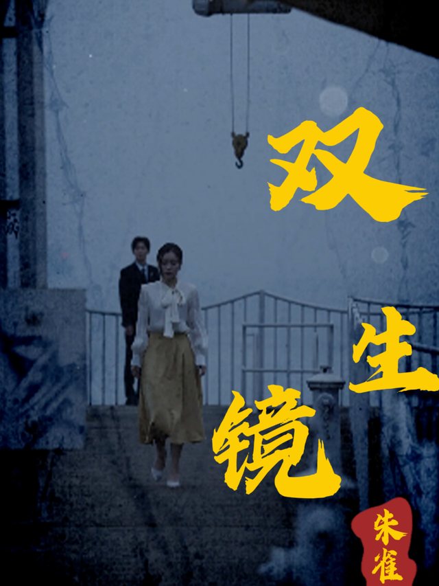 双生镜封面
