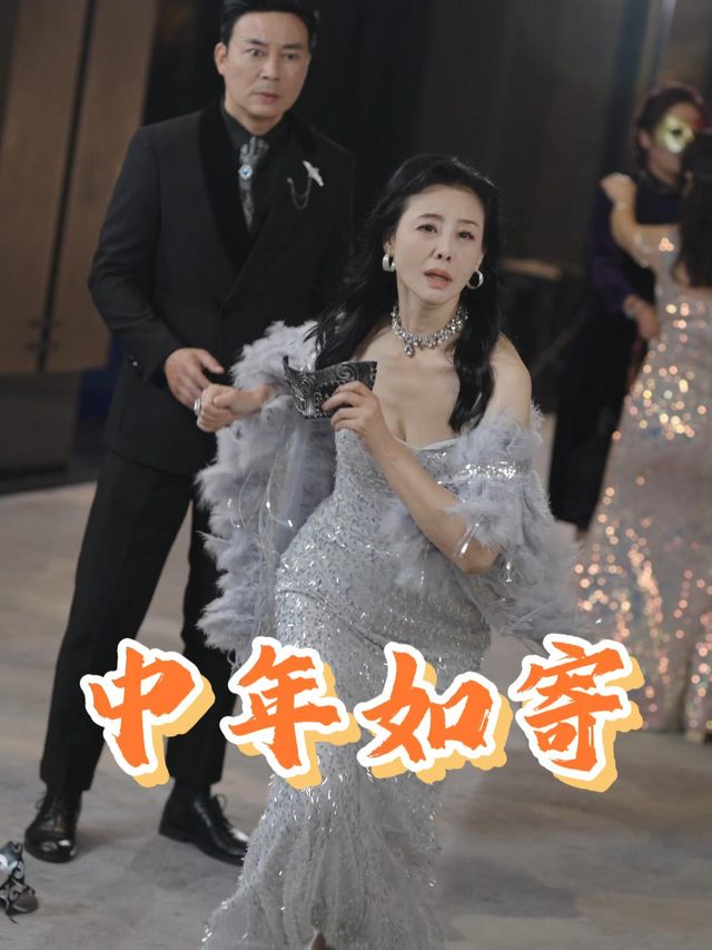 中年如寄封面