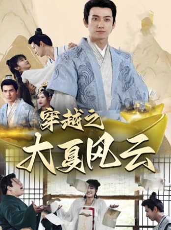 穿越之大夏风云封面