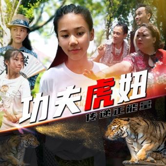 功夫虎妞封面