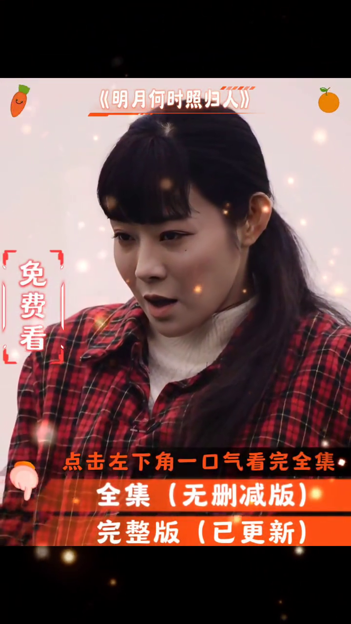 明月何时照归人封面