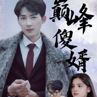 巅峰傻婿封面
