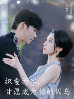 织爱为牢,甘愿成为你的囚鸟封面