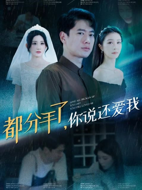 都分手了,你说还爱我封面