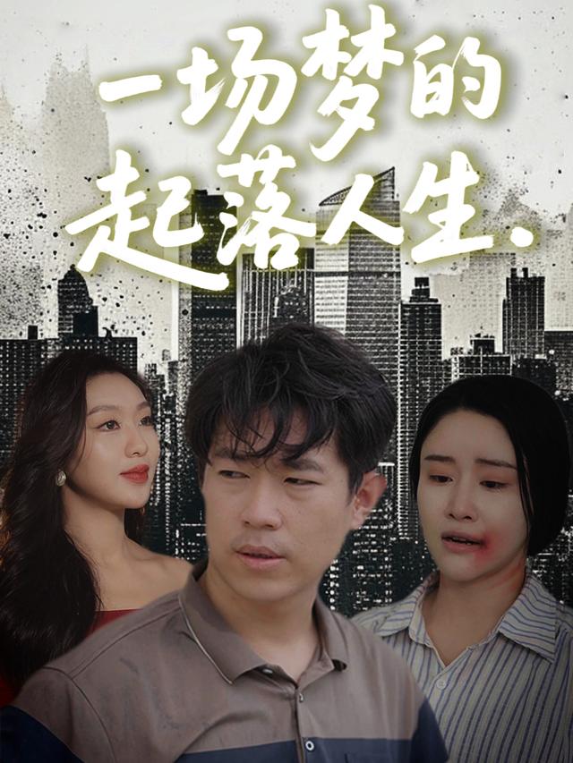 一场梦的起落人生封面