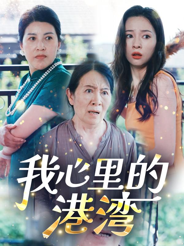 我心里的港湾封面