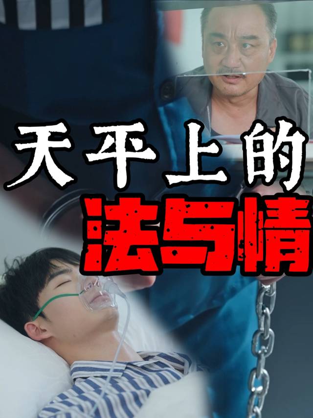 天平上的法与情封面