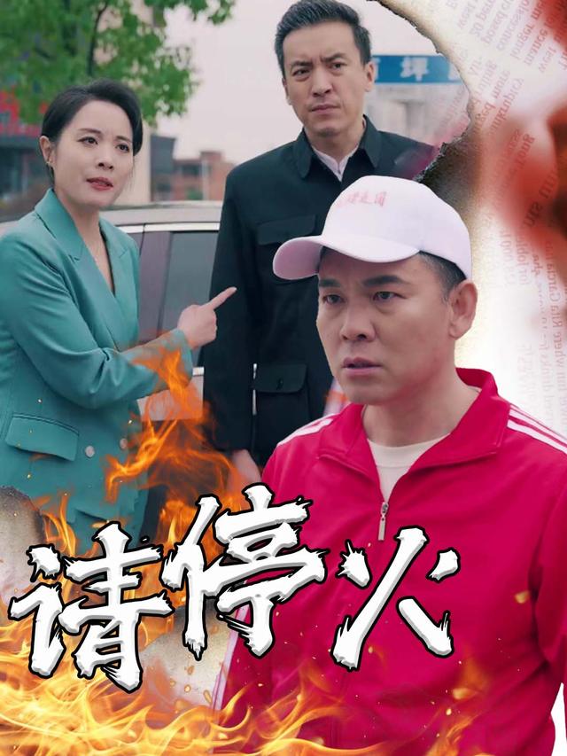 请停火封面