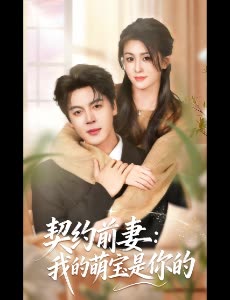 契约前妻:我的萌宝是你的封面