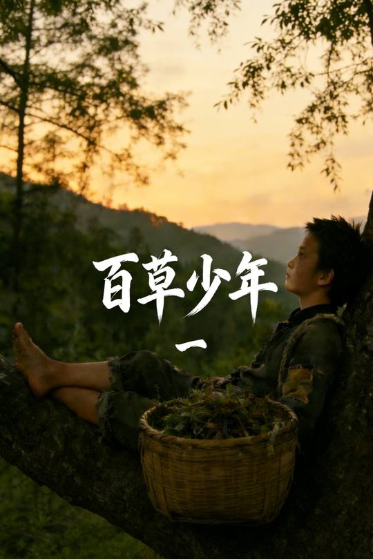 百草少年封面