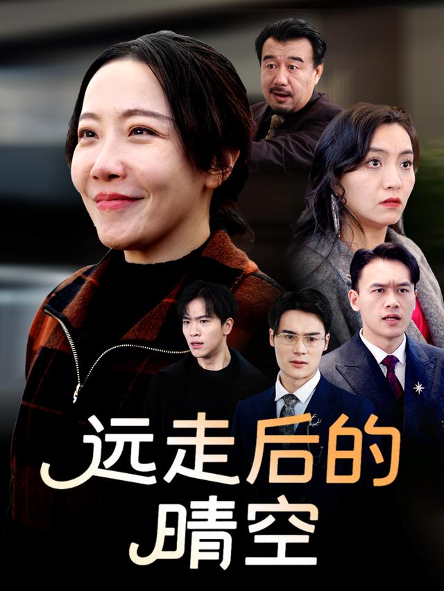 远走后的晴空封面