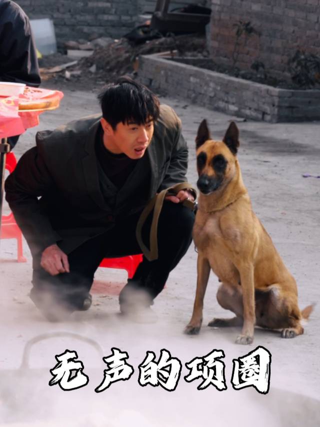 无声的项圈封面