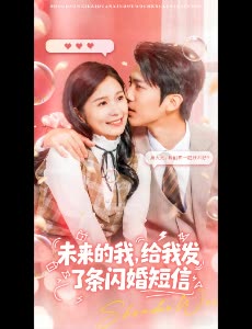 未来的我,给我发了条闪婚短信封面
