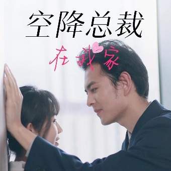 空降总裁在我家封面