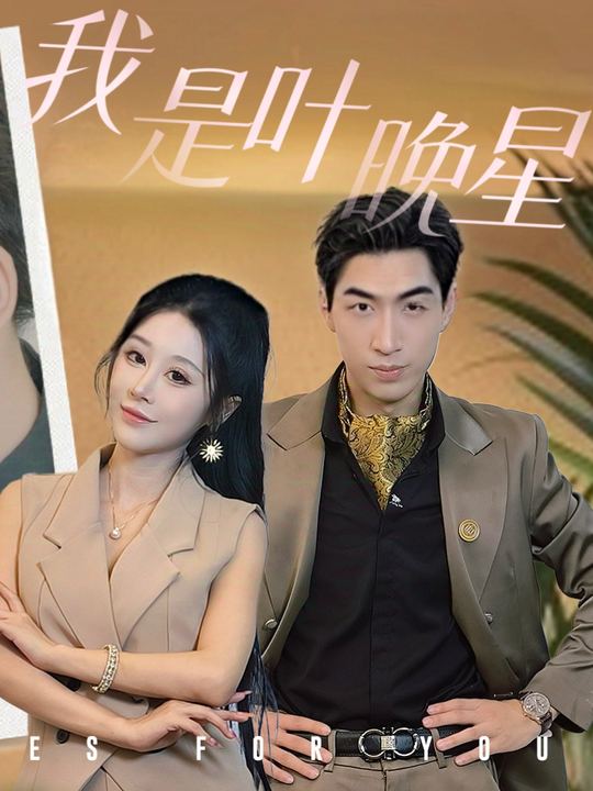 我是叶晚星封面