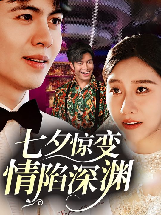七夕惊变:情陷深渊封面