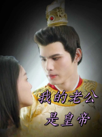 我的老公是皇帝封面