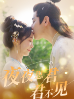 夜夜思君君不见封面