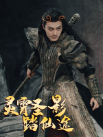 灵霄圣影踏仙途封面