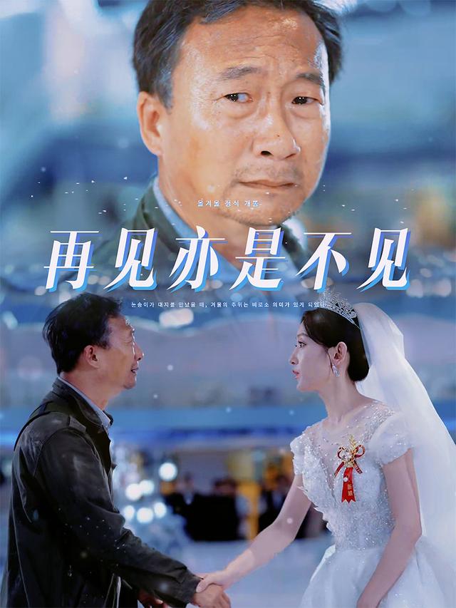 再见亦是不见封面