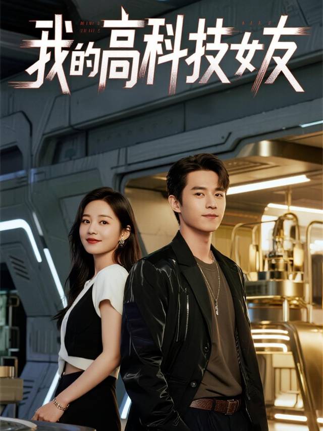 我的高科技女友封面