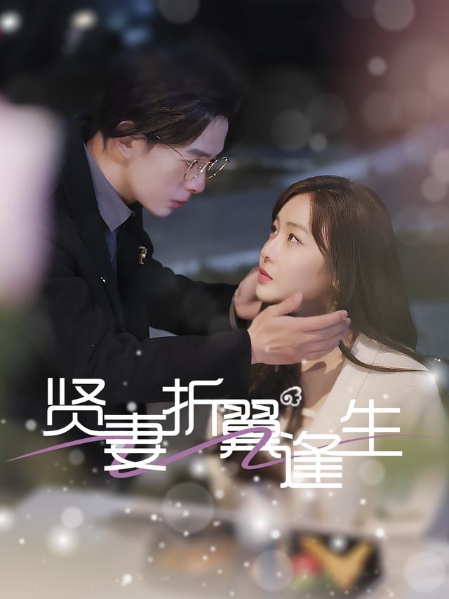 贤妻折翼逢生封面