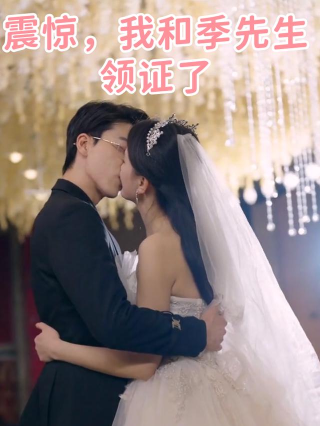 震惊,我和季先生领证了封面