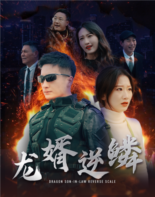 龙婿逆鳞封面