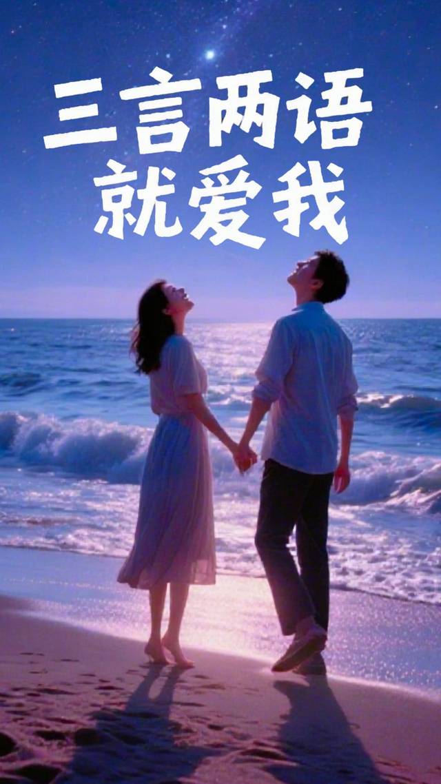 三言两语就爱我封面