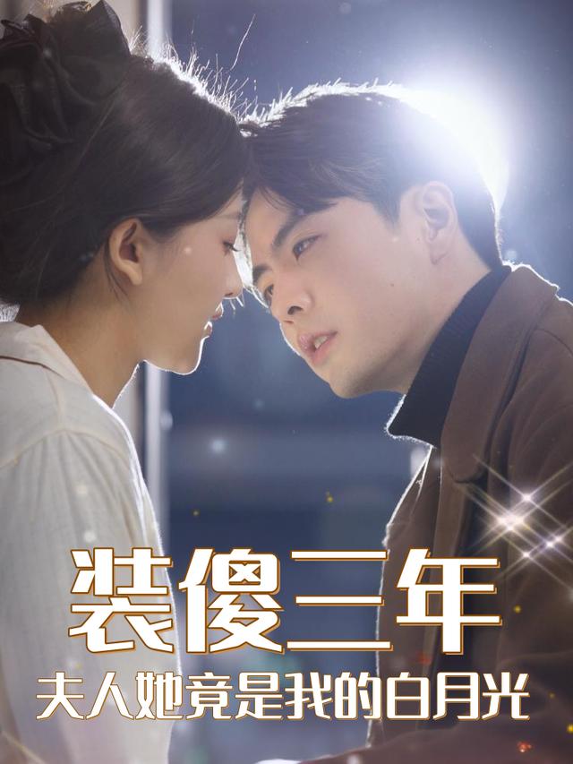 装傻三年,夫人她竟是我的白月光封面