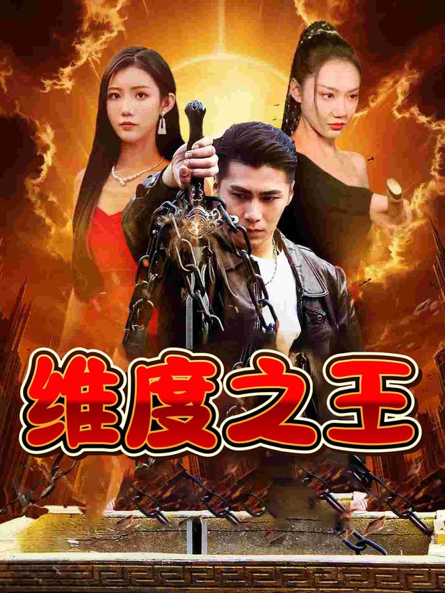 维度之王封面