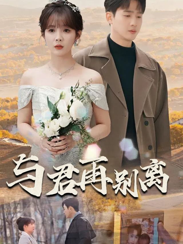 与君再别离封面