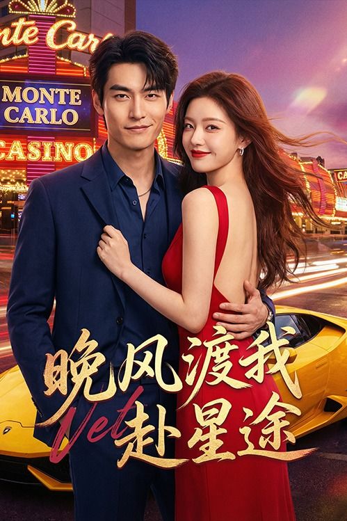 晚风渡我赴星途封面