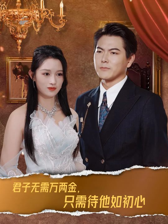 君子无需万两金,只需待他如初心封面