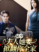 强制锁爱封面