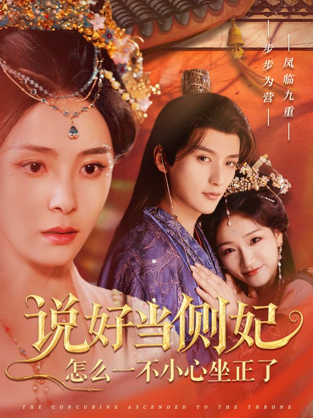说好当侧妃,怎么一不小心坐正了封面