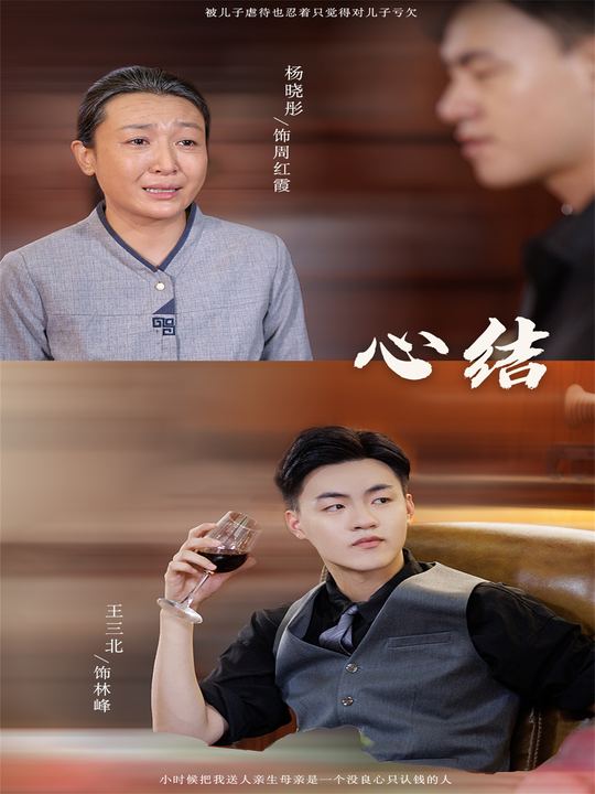 心 结封面