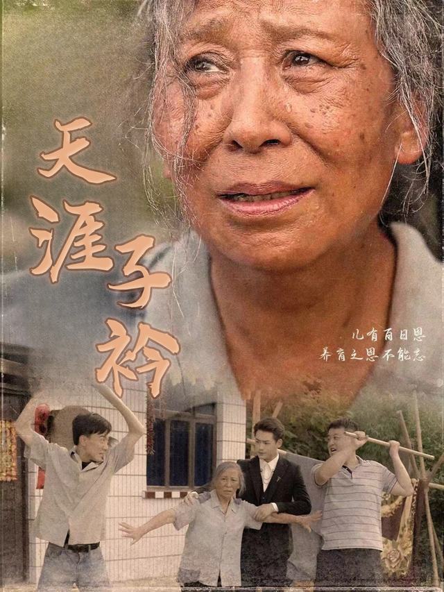 天涯子衿封面