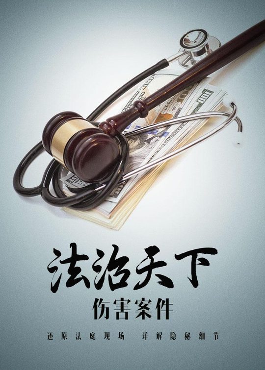 法治天下:伤害案件(15)封面