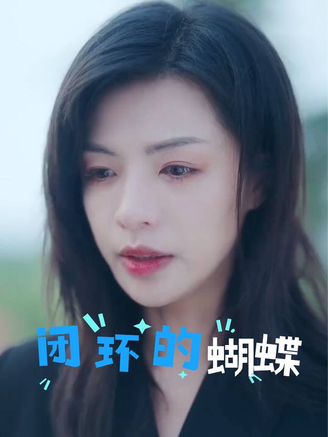 闭环的蝴蝶封面