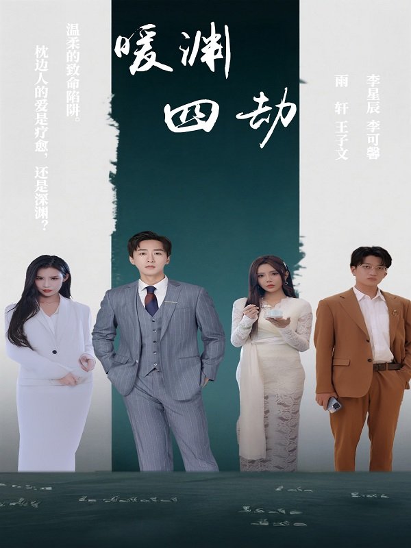 暖渊四劫封面