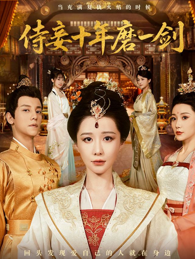 侍妾十年磨一剑封面