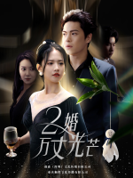 2婚万丈光芒封面