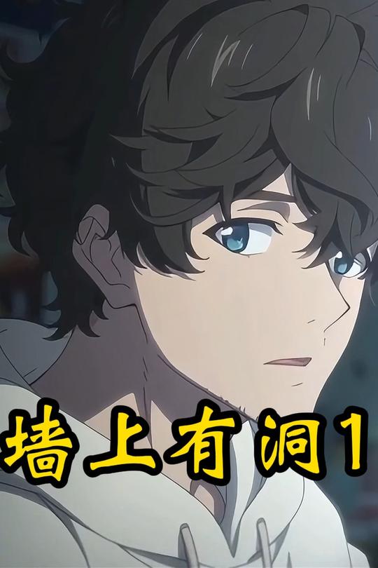 墙上有洞1封面
