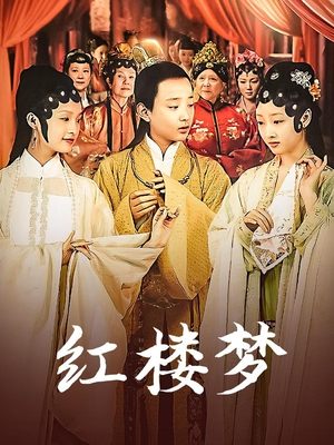 电视剧·红楼梦(中)封面