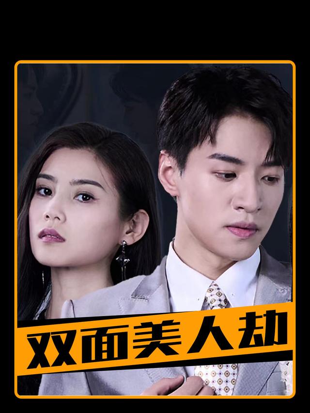 双面美人劫封面