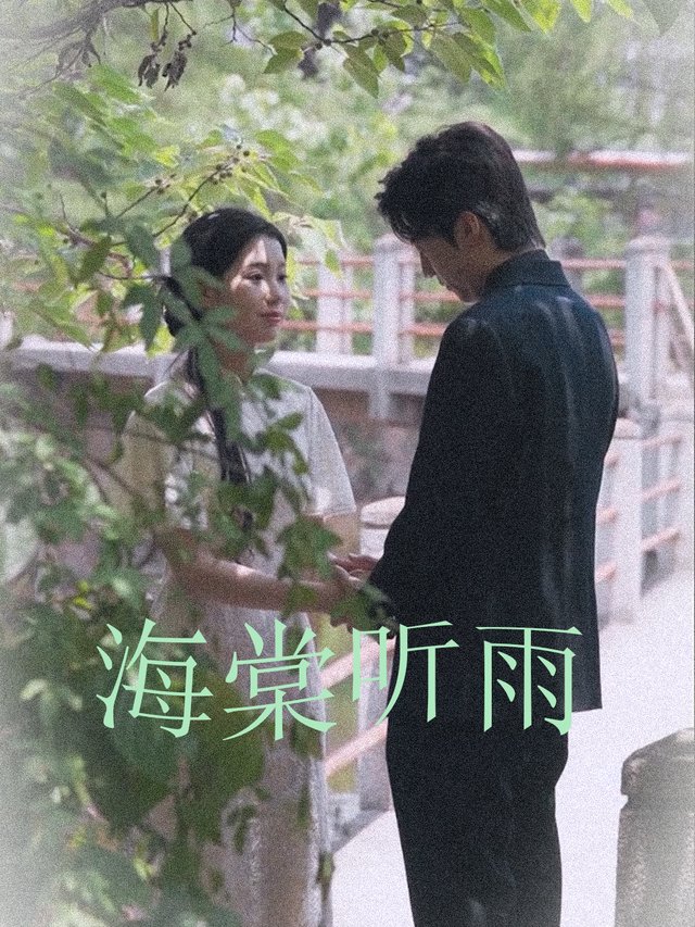 海棠听雨封面