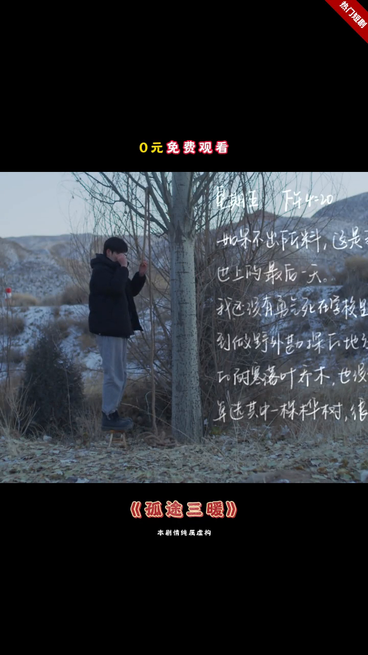孤途三暖封面