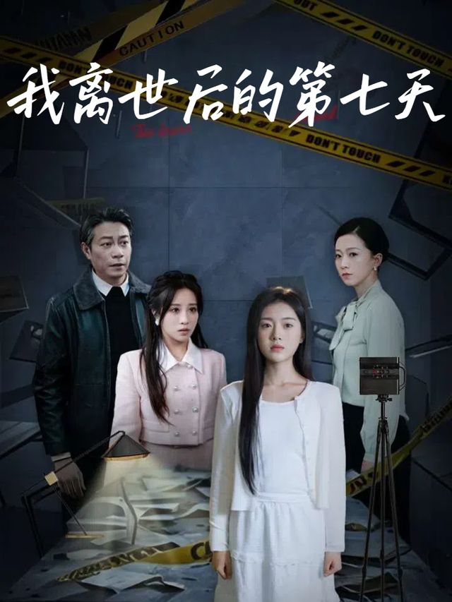 我离世后的第七天封面